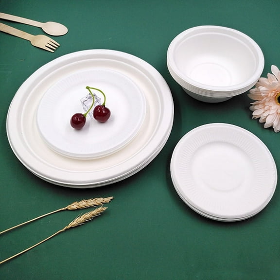 Elegant White Disposable Plates, 50-Count Bulk Pack, Ideal for Birthday Parties, Catering and Everyday Use, Sturdy Enough for Saucy Meals