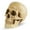 Color, variant on Deeceymbur Realistic Human Skull Resin Replica Halloween Prop Mini Skeleton Head Gothic Decor with Movable Jaw 6.69x7.48in