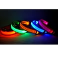 thumbnail image 6 of SPRING PARK Safety Anti-lost LED Dog Collar – USB Rechargeable with Resistant Flashing Light Collar Necklace, 6 of 7