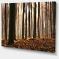 thumbnail image 2 of Bois Épais Foncés dans la Forêt d'Automne - Art Moderne sur Toile, 2 of 4