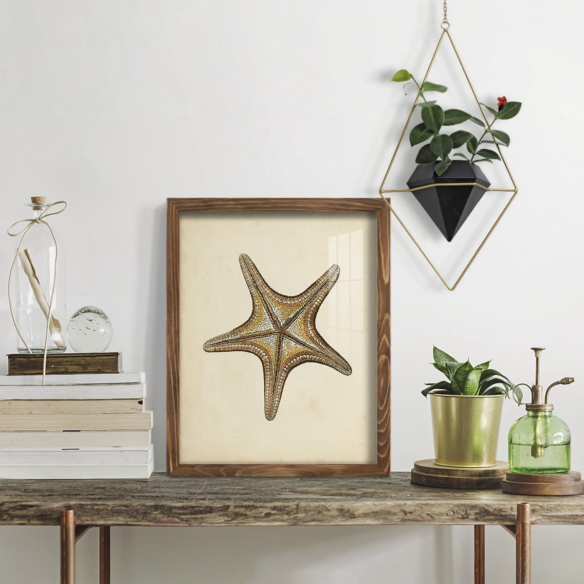 Sealife Collection IV - Framed Print w/glass - Walnut