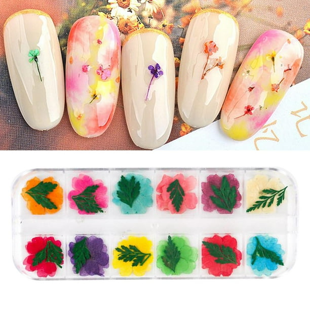Flores prensadas secas para resina, flores secas prensadas naturales, flor seca prensada real para decoración de uñas, jabón, fabricación de joyas, perfecl Arte De Uñas De Flores Secas