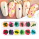 thumbnail image 1 of Flores prensadas secas para resina, flores secas prensadas naturales, flor seca prensada real para decoración de uñas, jabón, fabricación de joyas, perfecl Arte De Uñas De Flores Secas, 1 of 8