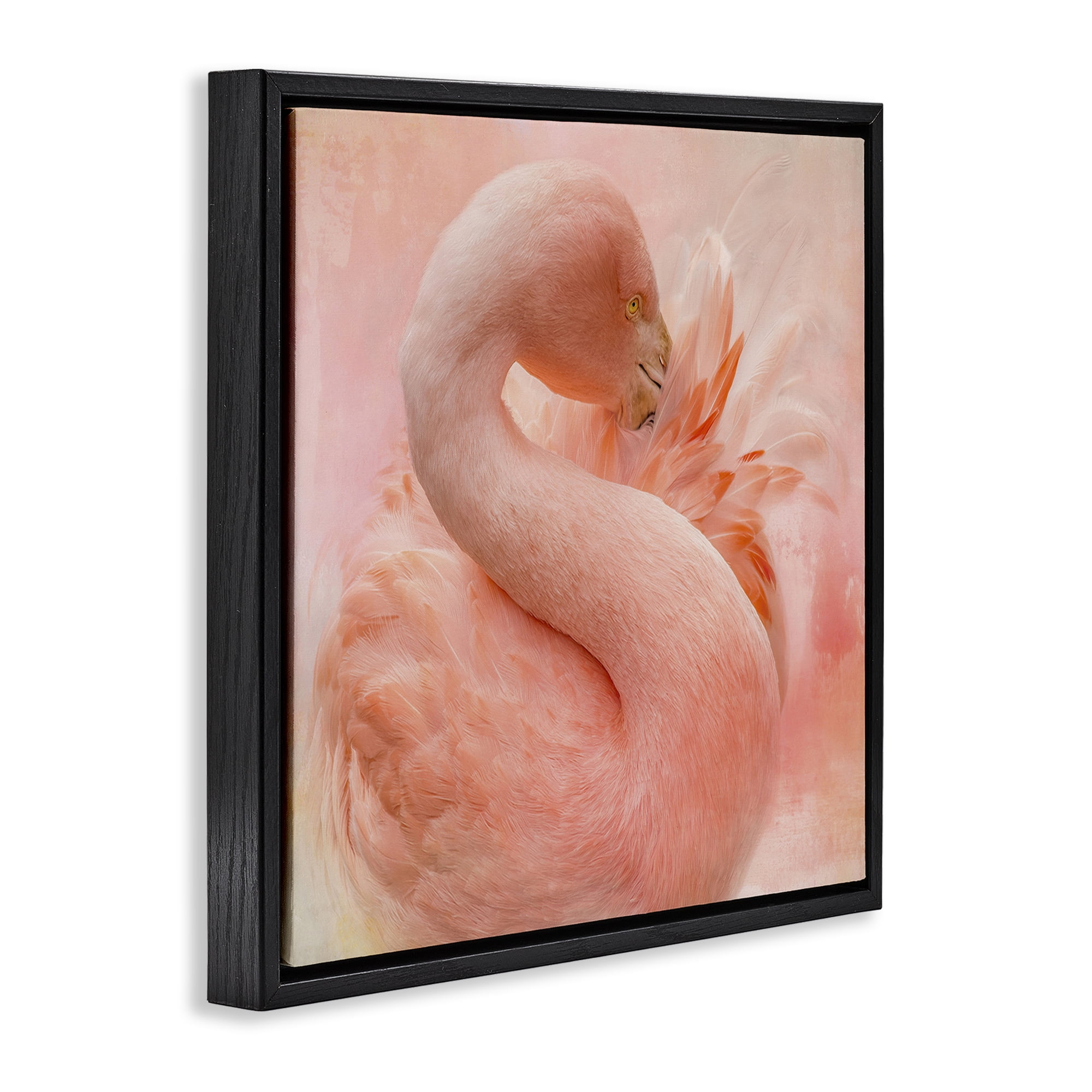 Stupell Industries Cocoon of Plumage Birds Painting Black Floater Framed Canvas Art Print Wall Art, 25 x 25
