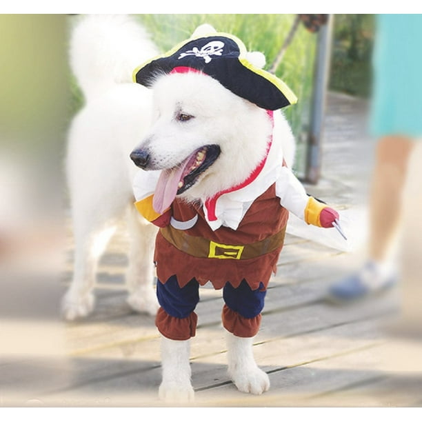 Halloween. Fille Gaie Dans Un Costume De Carnaval D'un Pirate En