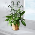 thumbnail image 5 of 4Pc Mini Plastic Trellis, Stackable Plant Support Stakes, Plastic Plant Stakes, Potted Plant Trellis, Indoor Plant Trellis for Climbing Plants, Lightweight Plant Stakes, Vertical Growth Trellis, 5 of 7
