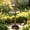 Brown, variant on 44.5" H Bird Bath Feeder and Planter, 3-in-1 Metal Birdbaths Stand Vintage Pedestal Bird Bowl