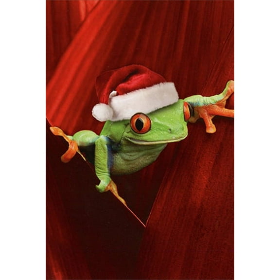 Nobleworks Frog with Santa Hat Cute Box of 12 Christmas Cards