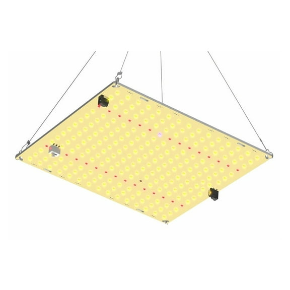 LED Grow Light 800W SM LM281b  Diodes Quiet Fanless Full Spectrum Grow Light High PPFD For 5x5FT Covera, Veg And Blooming ,High Efficiency