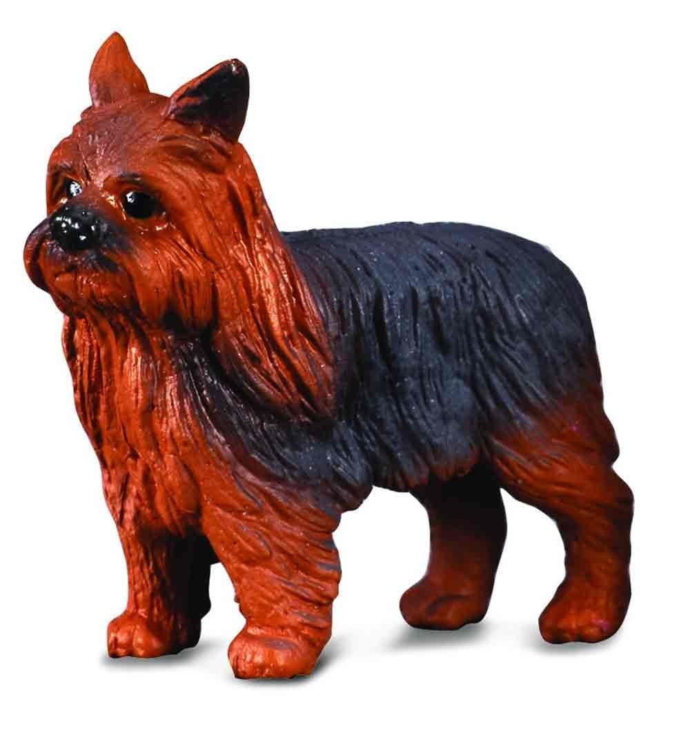 CollectA Cats &amp; Dogs Collection Miniature Figure | Yorkshire Terrier