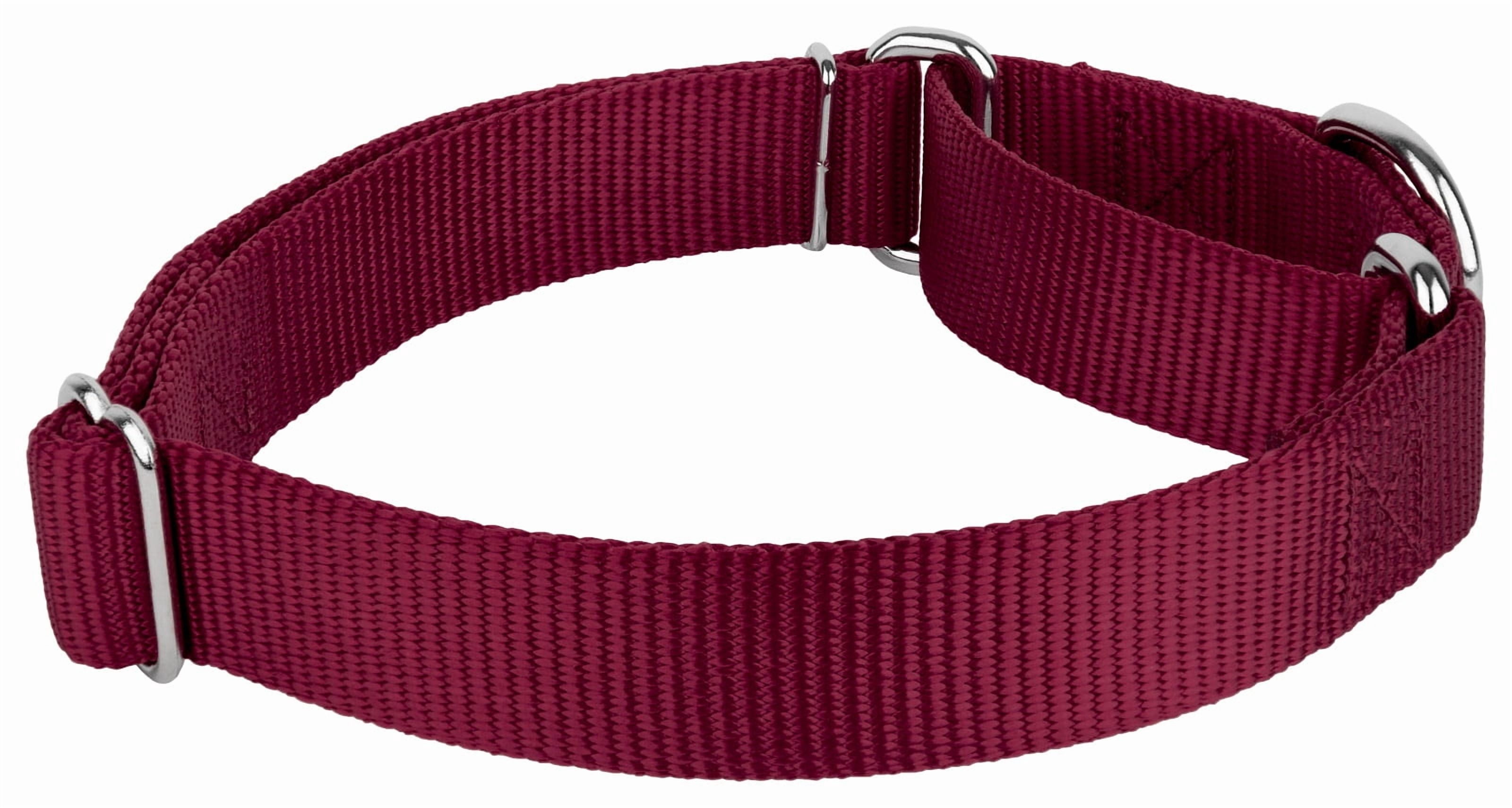 Country Brook Petz® Martingale Nylon Dog Collar & Double Handle Leash - Burgundy - Small