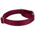 thumbnail image 6 of Country Brook Petz® Martingale Heavyduty Nylon Dog Collar and Double Handle Leash - Burgundy - Medium, 6 of 7