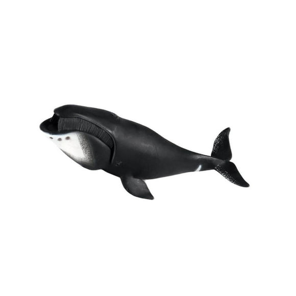 Les Chiffres de Baleines Océaniques Animaux Requin Vie Marine Réaliste Mégalodon Monstre Jouets Éducatifs Marins pour les Enfants Baleine Boréale