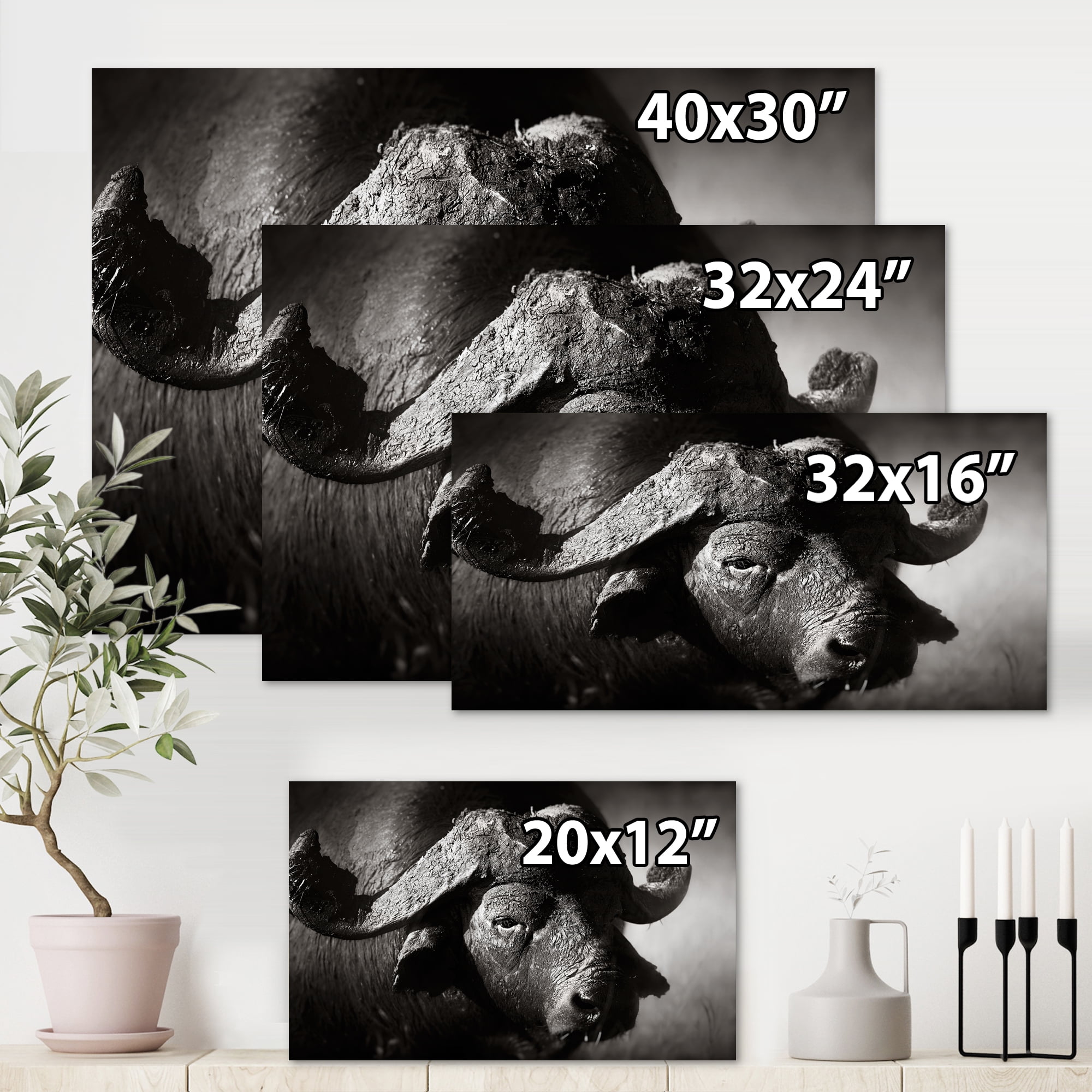 Designart ' Black and White Portrait Of Buffalo II ' Farmhouse Canvas Wall Art Print