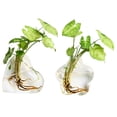 thumbnail image 1 of Coofit 2PCS Glass Vase Creative Wall Mounted Plant Terrarium Flower Vase Flower Pot, 1 of 4