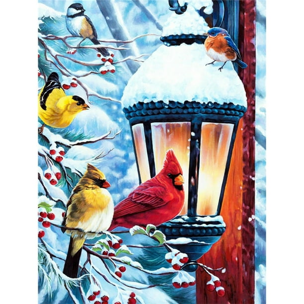 Diamond Painting (DE8064) 5D DIY Snowy Bird Square Kit Art Craft (W0772) 20X30cm Hugtrwg Para estrenar