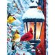 thumbnail image 1 of Diamond Painting (DE8064) 5D DIY Snowy Bird Square Kit Art Craft (W0772) 20X30cm Hugtrwg Para estrenar, 1 of 1