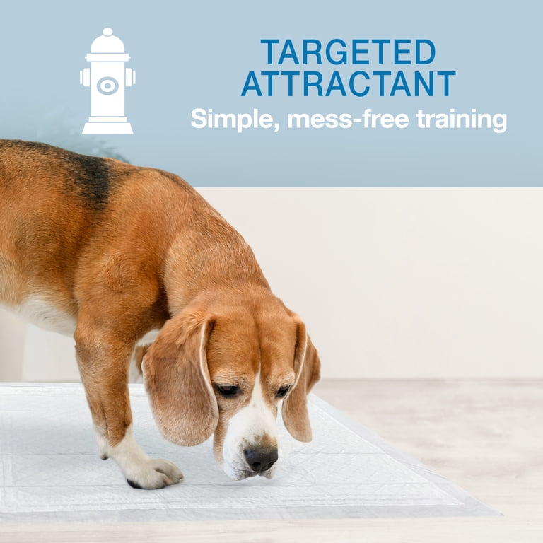 Four Paws Wee-Wee Insta-Rise Border Potty Training Pads, 10ct photo 6