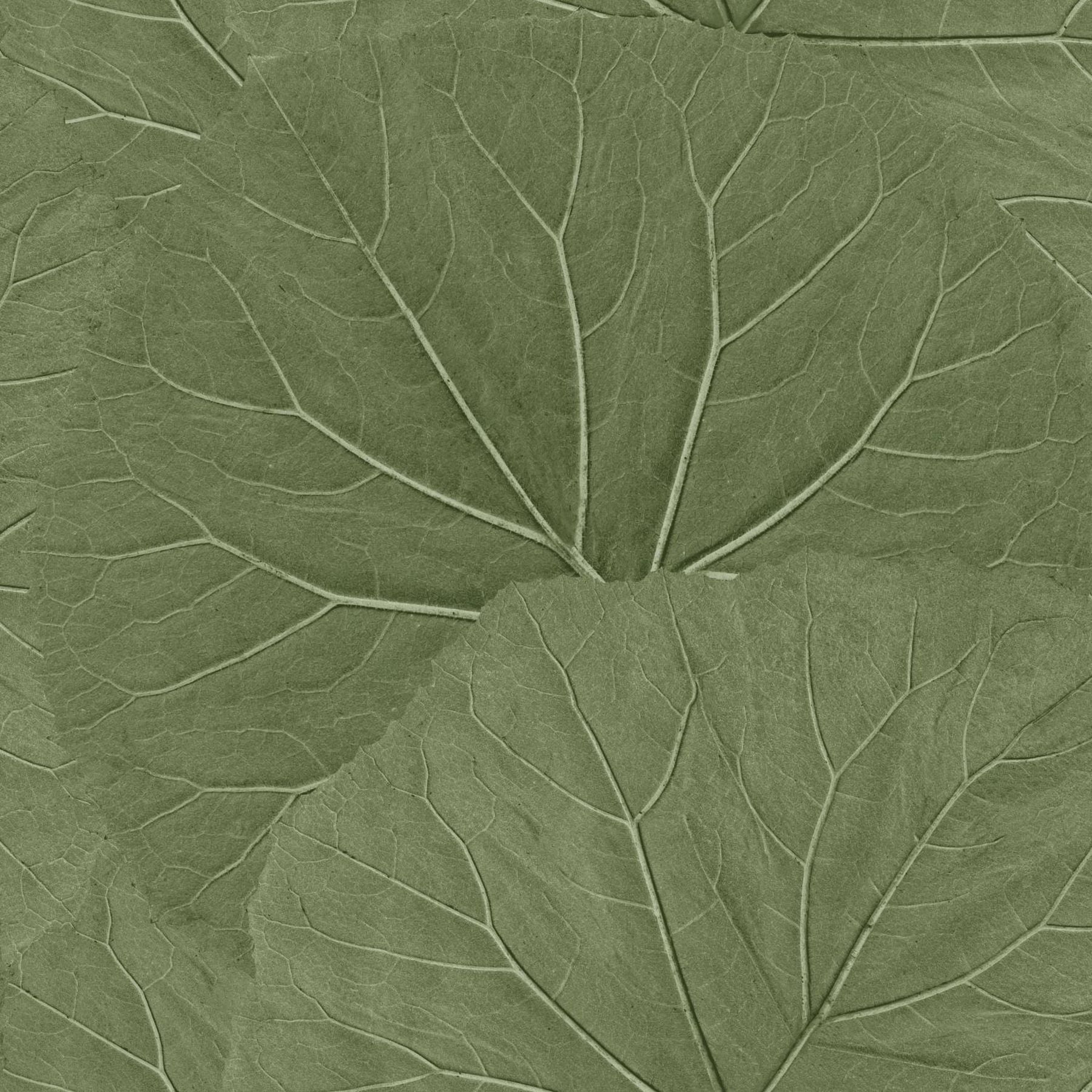 Xylem Olive Large Leaves Wallpaper - Walmart.com
