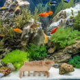 thumbnail image 4 of Greenadscape Acuario Columna Marrón Para Peces Y Camarones En, 4 of 8