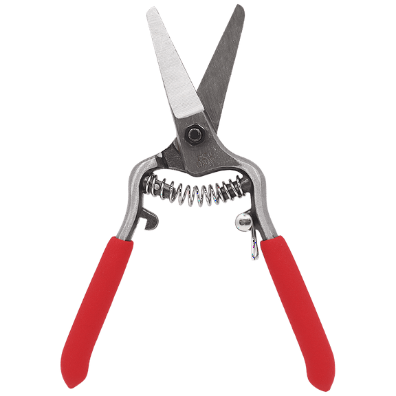 Zenport Z270 6” Forged Straight Blade Needle Nose Shear, 1.5 Inch Blades, Red - 10 Pack