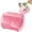 Desk Organizer Pink, variant on Pastel Multi Compartment Plastic Desktop Organizer Caddy Multifunctional Stationery Makeup Bathroom Storage Tray Dorm Office Desk Accessory Holder For Pens Cosmetics Small Supplies