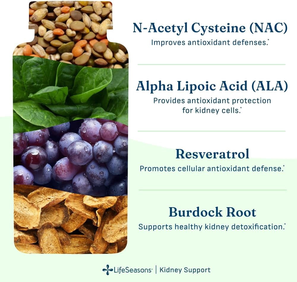LifeSeasons Kidney Support Supplement – Cellular Protection with NAC, Alpha Lipoic Acid, Resveratrol, Burdock Root & Vitamin D3 – Supports Detox, Oxidative Stress & Renal Function – 120 Capsules