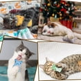 thumbnail image 4 of PET PRODUCTS CAT Toys Cat Connotation Catnip Color Scratch Color Cat Toys 6 pcs, 4 of 4