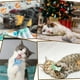 thumbnail image 4 of PRODUCTOS PARA MASCOTAS Juguetes para gatos Connotación de gato Hierba gatera Color Rascador Juguetes para gatos de colores Juego de 6 piezas, 4 of 4