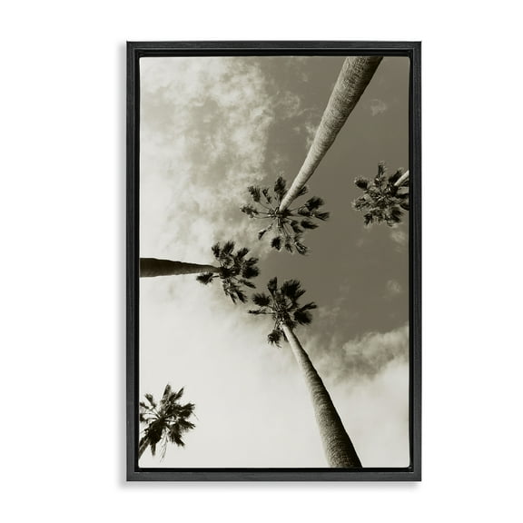 Stupell Industries Centric Palm Trees Botanical & Floral Photography Black Floater Framed Canvas Art Print Wall Art, 17 x 25