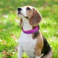 thumbnail image 3 of Pet Artist Embroidered Personalized Nylon Dog Collar Reflective Custom ID Name Puppy Collar, 3 of 10