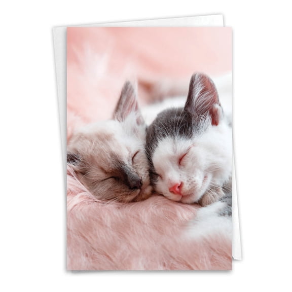 NobleWorks Anniversary Greeting Card with 5 x 7 Inch Envelope (1 Card) Couple, Husband, Wife, Parents Anniversary Congratulations Cuddling Cats C2815CANG