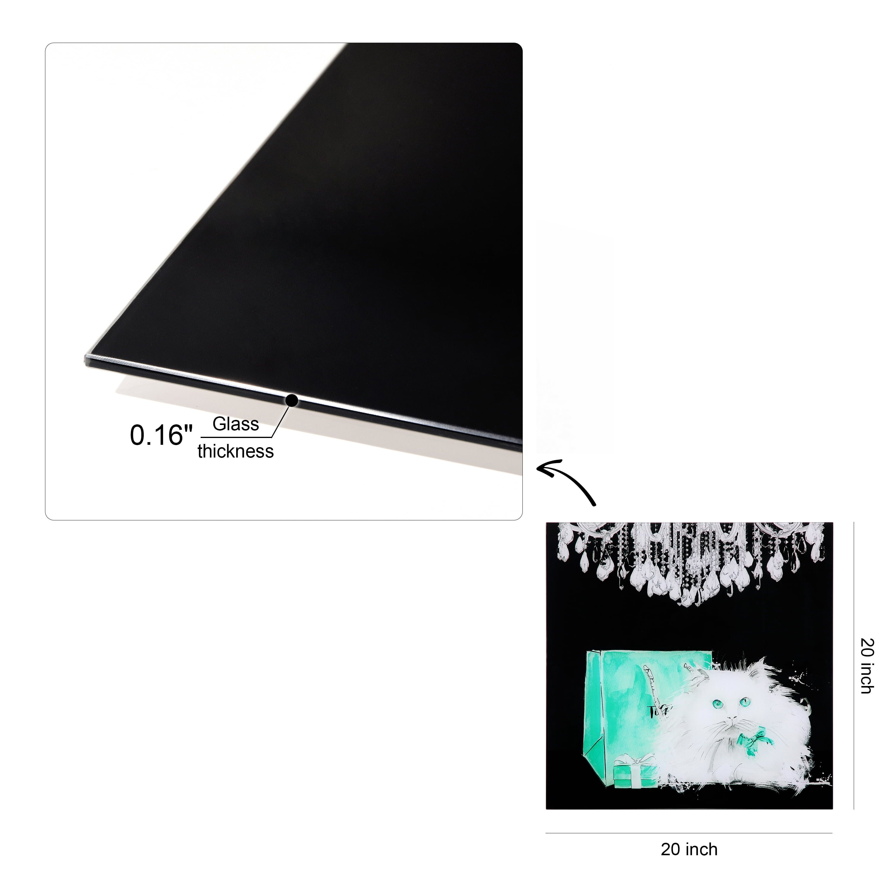 Empire Art Direct Snowball Frameless Free Floating Tempered Glass Panel Graphic Cat Wall Art, 20" x 20", Ready to Hang
