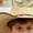Brown, variant on sususu Boys Western Shirts Long Sleeve Pearl Snap Button Down Cowboy Shirt Toddler Kids Retro Country Tops Outfit Black4 6-7 Years