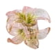 thumbnail image 5 of Pinza para el pelo con forma de flor transparente, pasadores para el pelo tipo banana, pinza antideslizante para la mandíbula, bonita pinza para el pelo para niñas, soporte para cola de caballo para m, 5 of 8