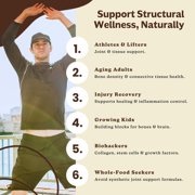 Bone & Marrow - Ancestral Bone Matrix Supplement