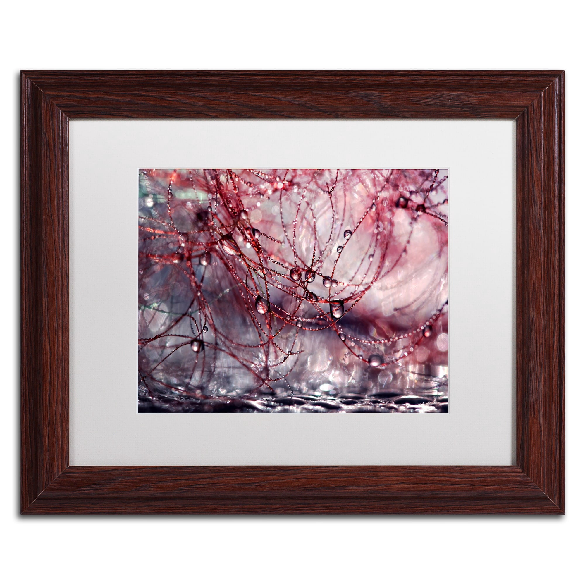 Trademark Fine Art "Life is Not Simple" Canvas Art by Beata Czyzowska Young, White Matte, Wood Frame