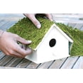 thumbnail image 6 of SuperMoss InstantGreen Moss Mat - 4 x 1.5 feet, 6 of 10