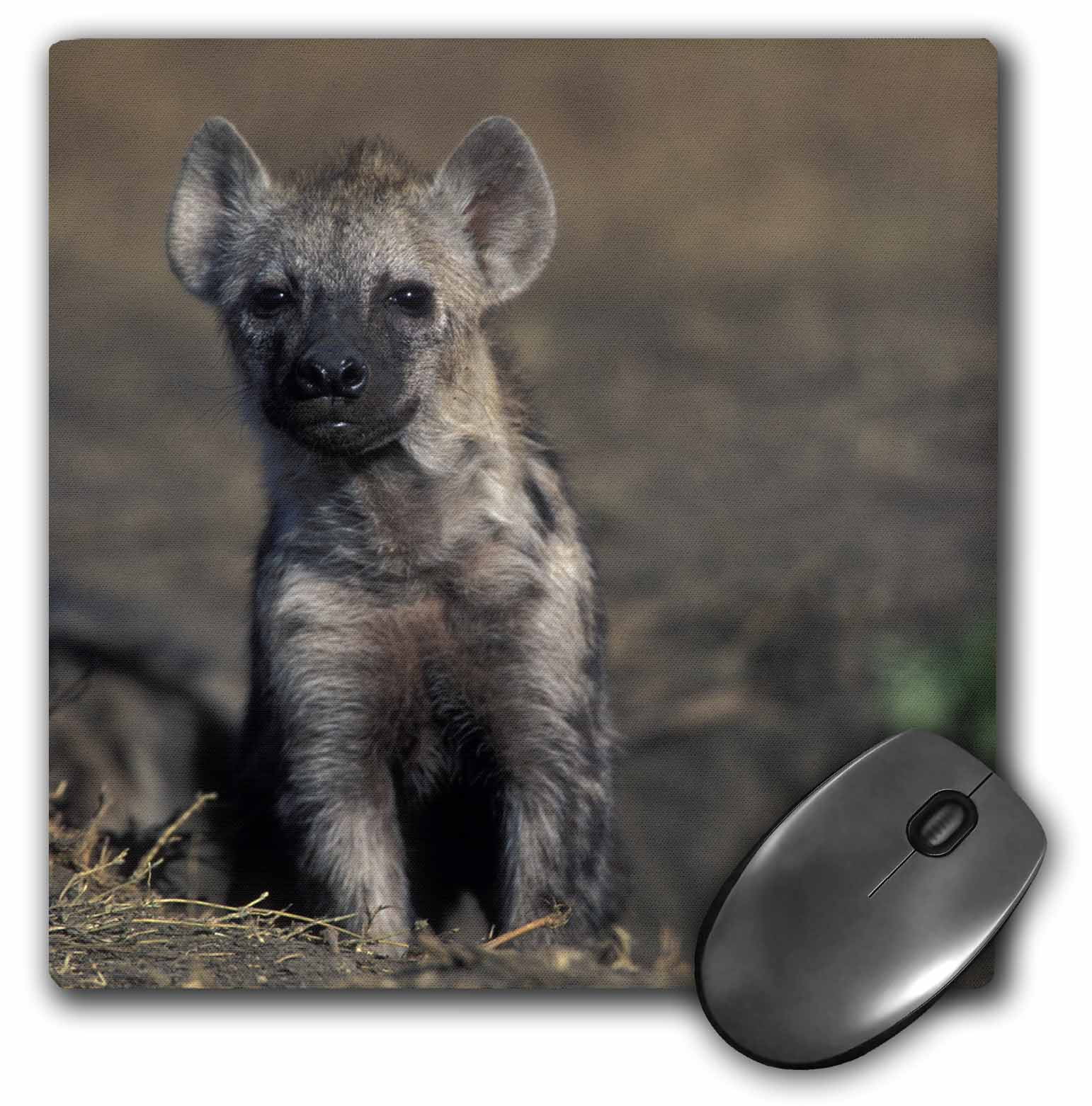 3dRose LLC 8 x 8 x 0.25 Inches Mouse Pad, Kenya, Masai Mara Game