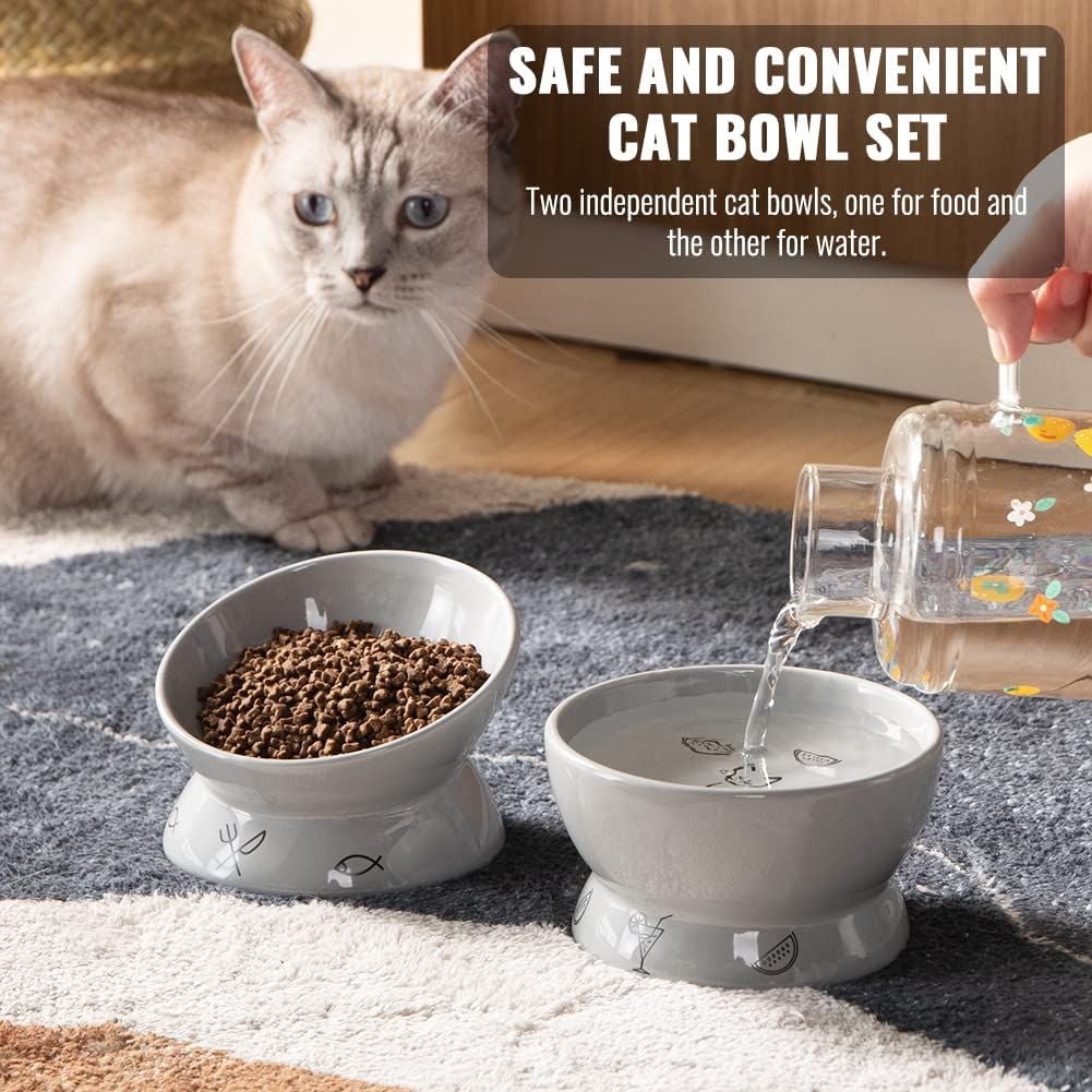 SWEEJAR Raised Cat Bowls Set, Tilted Food Bowl and Deep Water Bowl, Ceramic Pet Bowl Collection for Cats and Small Dogs, Set of 2 (Gray)