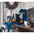 thumbnail image 4 of Affenpinscher Spooky Halloween Fabric Decorative Pillow 18 in x 18 in, 4 of 5