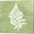 thumbnail image 4 of Great Art Now Forest Ferns by Vanna Lam 3 Piece Canvas Art Set Each 14"W x 14"H, 4 of 4