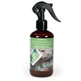 thumbnail image 1 of ScentSationals Room Spray - Eucalyptus & Sea Salt, 1 of 4
