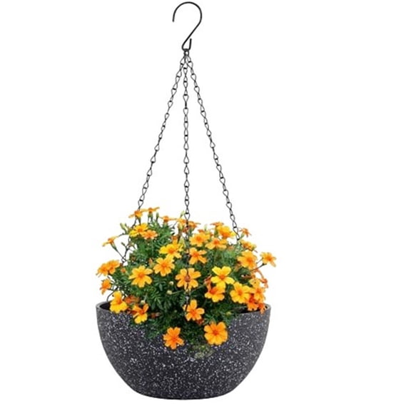 ZZAIXHL 10 inch Hanging for Indoor Outdoor Plants, 2 Pack Hanging Flower Pots with Drainage Holes and Chain for Garden Porch, Round Plastic Hanging Baskets for House Plants
