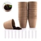 thumbnail image 1 of Papel de taza de vivero de pulpa desechable degradable, 1 of 1