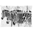 thumbnail image 1 of RYLABLUE Zebra Pillow Case Pillowcases Cushion Case Cover 20x30 inches, 1 of 1