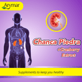 thumbnail image 3 of Arymar Chanca Piedra & Cranberry Extract, Natural Stonebreaker, Kidney Care 120 Caps, 3 of 5