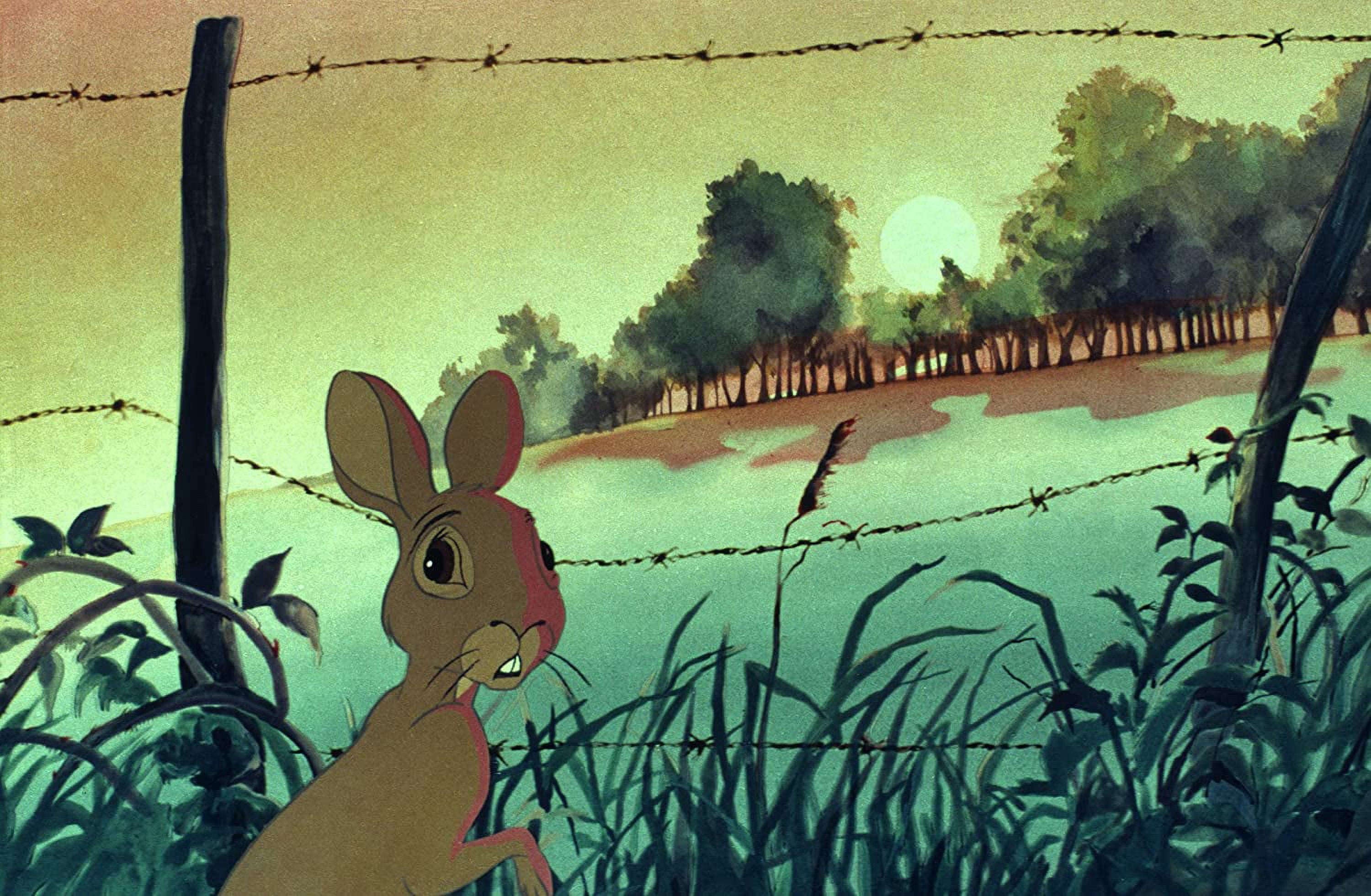 Watership Down (Criterion Collection) (DVD), Criterion Collection, Kids & Family