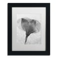 thumbnail image 2 of Trademark Fine Art "Flowers on Ice BW-2" Canvas Art by Moises Levy, White Matte, Black Frame, 2 of 4