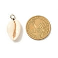 thumbnail image 4 of 100 pc Natural Cowrie Shell Pendants Shell Charms with Eco-Friendly Copper Wire Platinum 24~30x14~17x5~9mm Hole: 4mm, 4 of 4